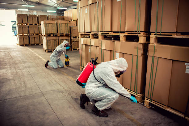 Pest Prevention Services in Kennedale, TX