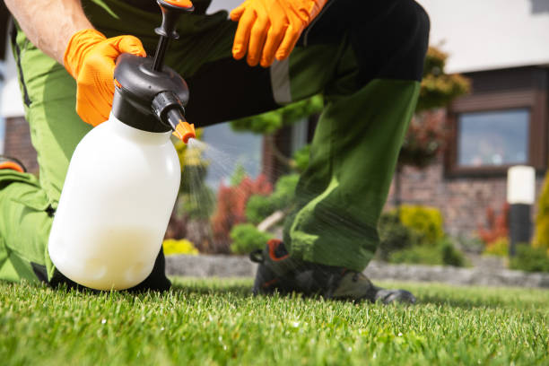 Best Best Pest Control Companies  in Kennedale, TX