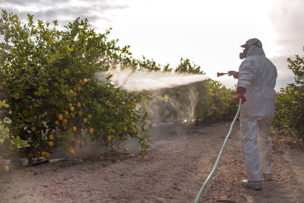 Best Flea Control Services  in Kennedale, TX