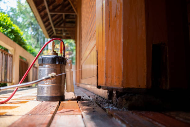 Best Mosquito Control Services  in Kennedale, TX