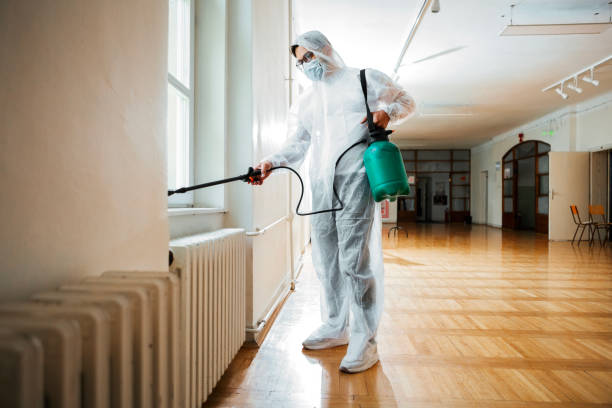 Reliable Kennedale, TX Pest Control Solutions