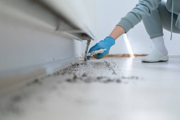 Best Pest Prevention Services  in Kennedale, TX