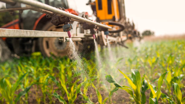 Best Commercial Pest Control Services  in Kennedale, TX