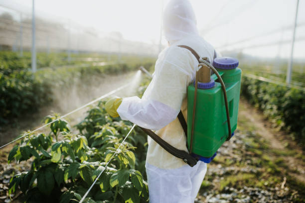 Best Residential Pest Control  in Kennedale, TX